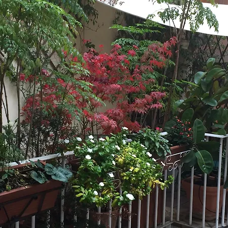 Relais Teatro Argentina